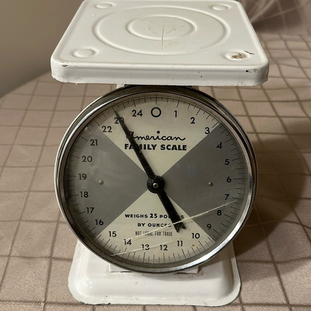 Vintage American family scale weighs up to 25 pounds 5 ounces MCM